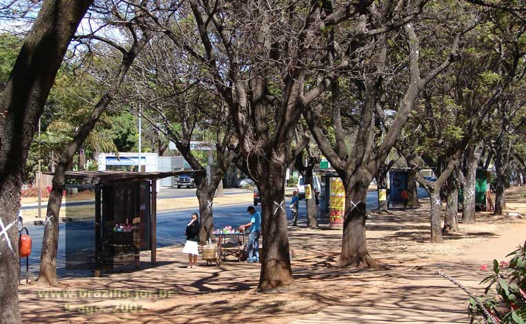 Pontos de ônibus no Eixinho oeste durante as obras da Estação 108 Sul do Metrô de Brasília em 2007