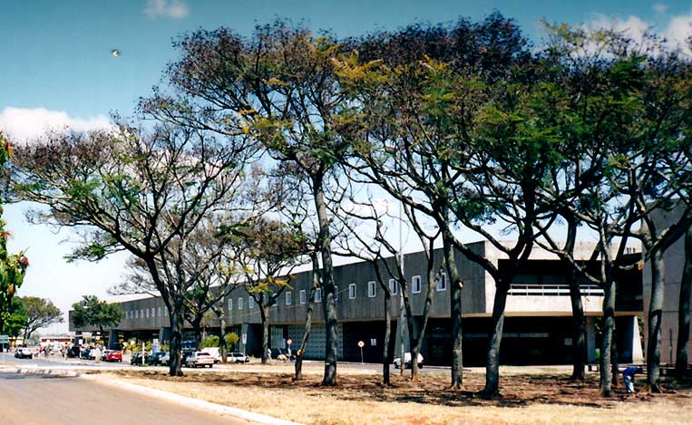 A estação ferroviária em meio às árvores