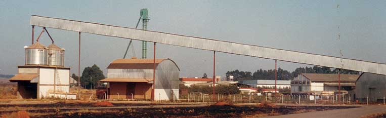 Correia de transporte da soja para embarque nos vagões da estrada de ferro