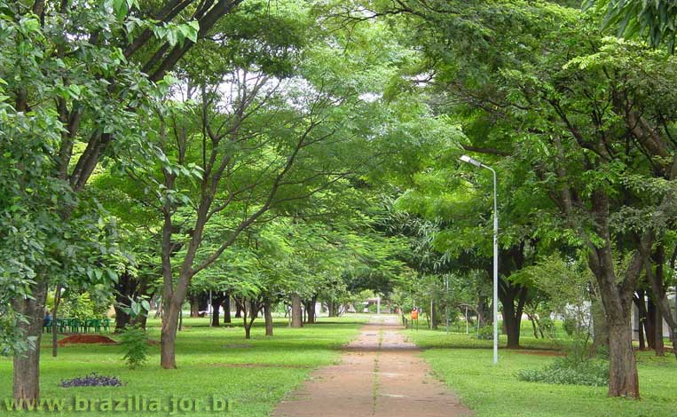 Calçada para pedestres no gramado de uma quadra residencial de Brasília